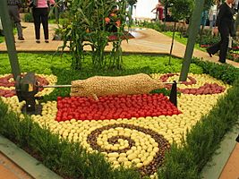 Vegetable sculture at Ellerslie Flower Show.jpg