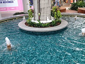 Westfield Warringah Mall fountain 2