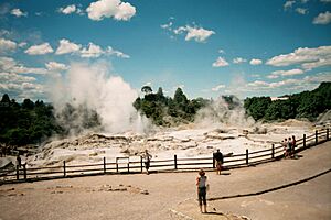 WhakarewarewaGeyserFlat2