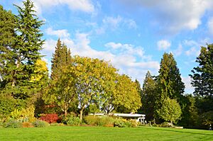 Wilburton, Bellevue, WA, USA - panoramio (1)