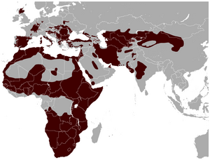 Distribution of the wildcat species complex