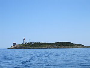 Île Bicquette
