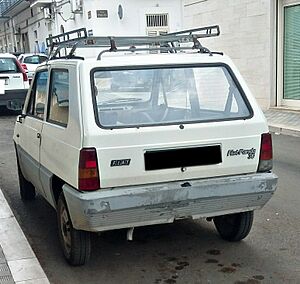 1980-1986 Fiat Panda 30