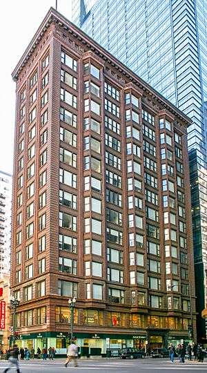 2010-03-03 1856x2784 chicago chicago building