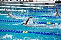 Amateur Swimming Backstroke