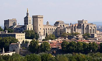 Avignon, Palais des Papes depuis Tour Philippe le Bel by JM Rosier