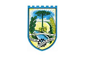 Bandeira joacaba