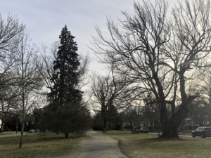 Blackstone Boulevard view in winter