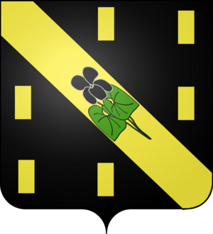 Blason Anvin