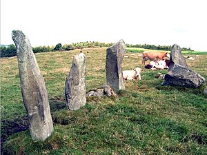 Photo of the stone circle