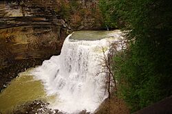 Burgess-falls-big-falls-tn2.jpg