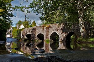 BuryExmoor