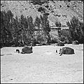 CH-NB - Afghanistan, Shibar Pass (Shebar Pass, Kowtal-e Shebar)- Landschaft - Annemarie Schwarzenbach - SLA-Schwarzenbach-A-5-20-205