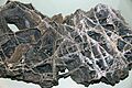 Calcite boxwork, Wind Cave