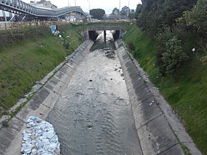 Canal río Fucha Btá