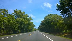 Puerto Rico Highway 693 in Higuillar