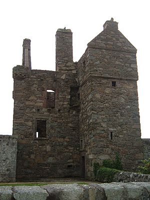 Carsluith Castle.jpg