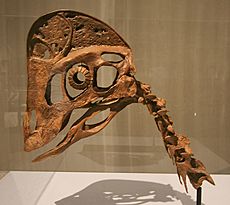 Chirostenotes skull