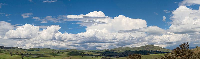 Cumulus clouds panorama