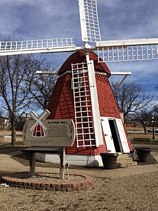 Danish Mill, Kenmare