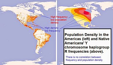 Density and frequency haplogroup R