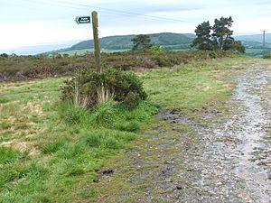 East devon way and footpath