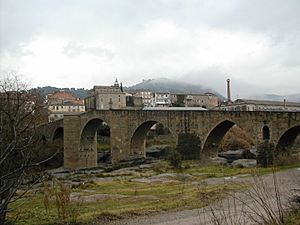 The gothic bridge over the Llobregat river