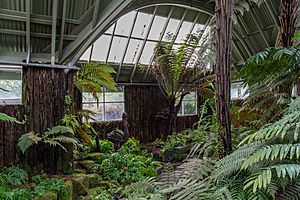 Fern House (Christchurch Botanic Gardens), New Zealand