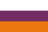 Flag of Dolores, Tolima