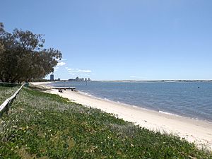 Foreshore at Southport Broadwater Parklands, Southport, Queensland