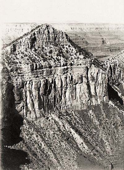 Fossil Mountain 1901