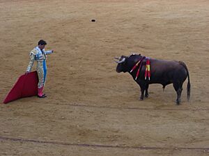 Fran Rivera en las fiestas Colombinas 2008 en Huelva (España) (2)