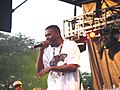 GZA - Pitchfork Music Festival