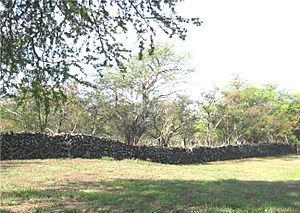Great Wall of Kuakini