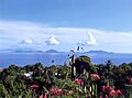 GuadeloupeVue