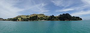Horokino ( Herekino) Pa situated at Arapaoa or Aropawa Bay ( Homestead Bay) Whanganui Island Aotearoa
