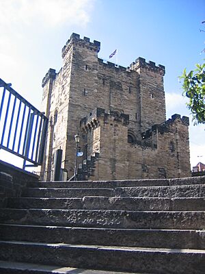 Image-Newcastle castle keep 2