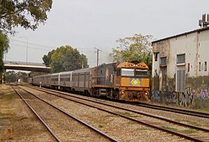 Indian Pacific at Ovingham leaving Adelaide 17 May 2005