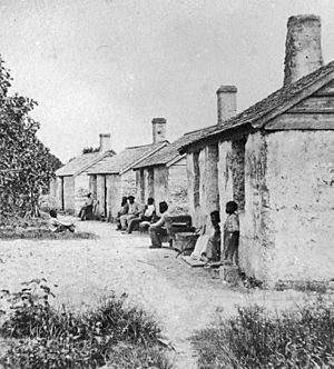 Kingsley Plantation tabby slave quarters