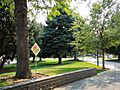 Kristen's Park (3)