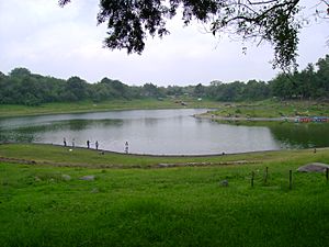 Laguna de Carrizalillo