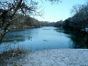 Lower Cannop Pond, midwinter - geograph.org.uk - 1628282
