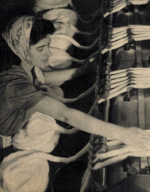 Mașina la care lucrează fruntașa Ana Măligă de la Uzinele textile Timișoara este un laminor care asigură în bună măsură uniformitatea viitorului fir de bumbac, Flacăra 17 1961