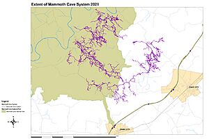 Mammoth cave system and surface