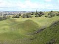 Mangere Mountain Central Crater Cone II