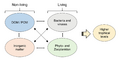 Marine connections between the living and the nonliving