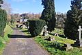 Monmouth Cemetery looking North East