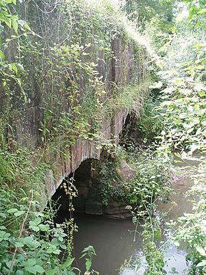 Murtry aqueduct 1.jpg