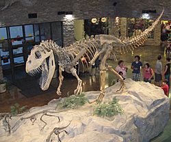 Museum AL dinosaur.jpg
