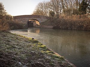 Newbury Avon Canal